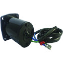 Powertrim motor Johnson Evinrude 15CV_2