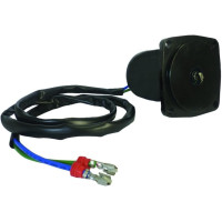 Powertrim motor Johnson Evinrude 25CV_1