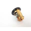 Thermostat d'Origine Honda 130CV 4T