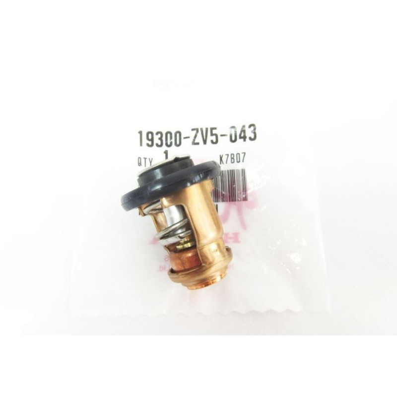 Thermostat d'Origine Honda 90CV 4T