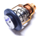 Thermostat Suzuki DF90