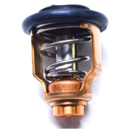 Thermostat Suzuki DF115