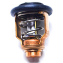 Thermostat Suzuki DF225