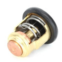 Thermostat Honda BF50 72°C