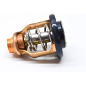 Thermostat Yamaha F250 4T_1