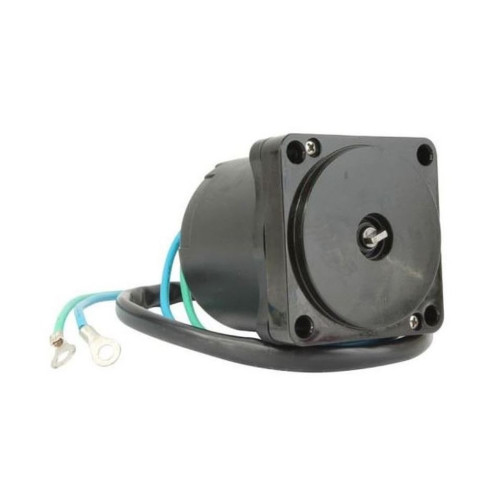 Powertrim motor Johnson Evinrude 115CV-1